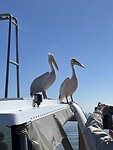 Samen op het dak van de boot