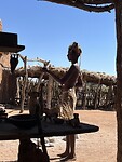 Damara living museum