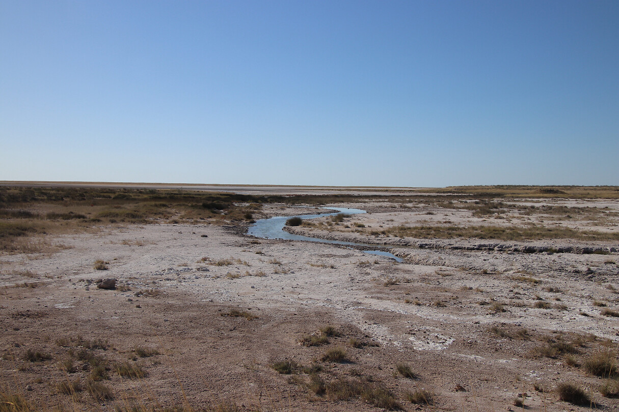 Etosha pan