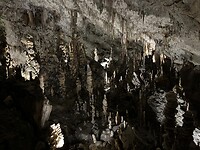 Postojna