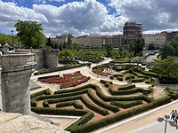 IMG_3785