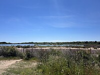 Het natuurgebied Albufera