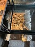 Archeologisch museum