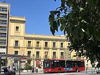 Museo de cervello