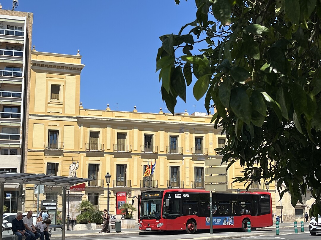 Museo de cervello