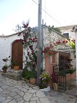 P1150861