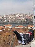 P1160678