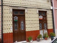 P1170578