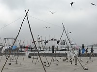 P1170675