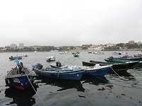 P1170688