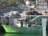 P1170733