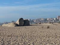 P1170803b