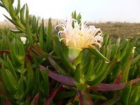 P1170829