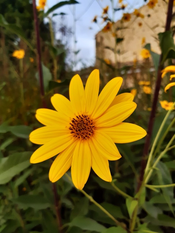 20190920_185110