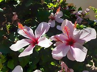 20190924_151055