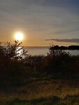 IMG-20211023-WA0021