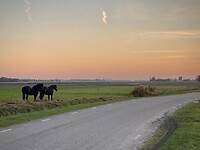 IMG-20211024-WA0028