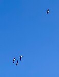 IMG-20211024-WA0016