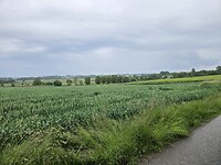 1000028901