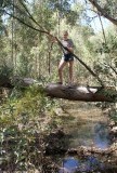 Flinders rangers park