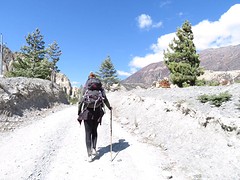 Annapurna circuit