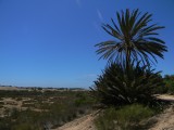 Sousse-Massa.