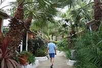 Prachtig aangelegde tropische camping tuin