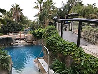 Tropisch zwemparadijs camping La Fiesta