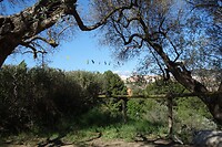 Camping Terra Alta