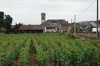 Santenay