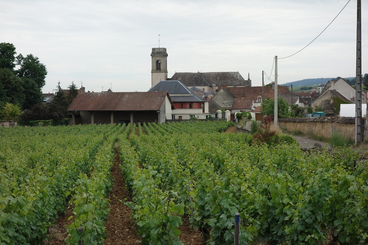Santenay