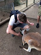 IMG-20161029-WA0006