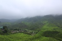 IMG_0779