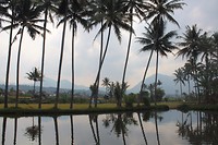 IMG_0799