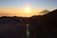 IMG_1040