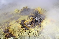 IMG_1139
