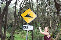 IMG_1249