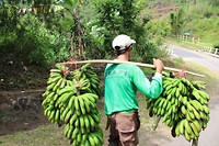 IMG_1252