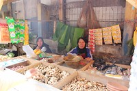 IMG_1281