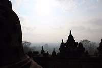 IMG_1483