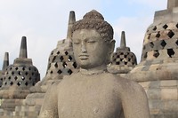 IMG_1555