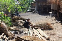 IMG_2862