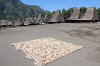 IMG_2874