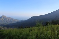 IMG_2959