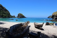 IMG_3130