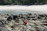 IMG_3301