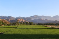 IMG_3622