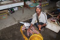 IMG_3701