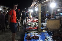 IMG_3705