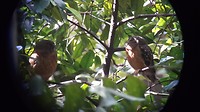 20170917_083117(0)